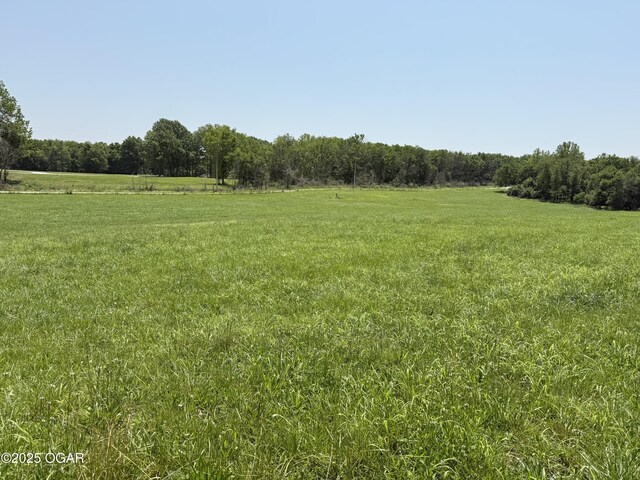 1604 E Chestnut St, Carthage, MO 64836 - photo 105