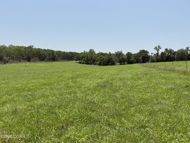 1604 E Chestnut St, Carthage, MO 64836 - photo 107