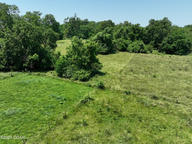 1604 E Chestnut St, Carthage, MO 64836 - photo 124