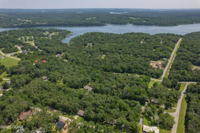 24406 Timberlane Dr, Golden, MO 65658 - photo 44