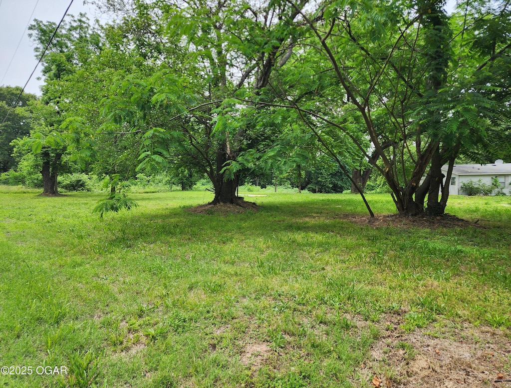 TRACT1 County Lane 186, Carthage, MO 64836 - photo 1