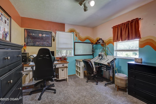 509 Brentwood Dr, Carl Junction, MO 64834 - carpeted office space featuring healthy amount of natural light and a textured ceiling
