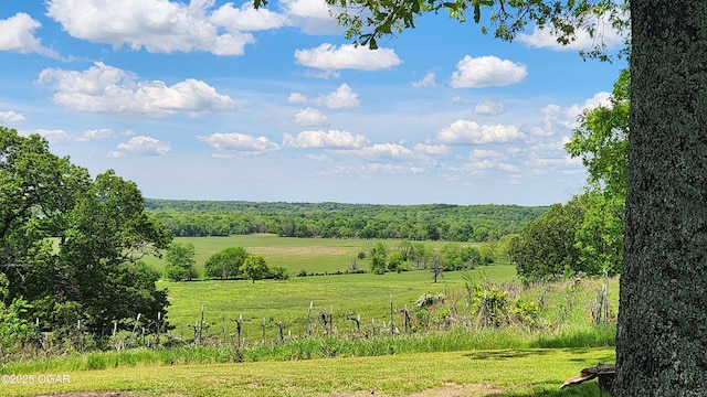 3002 S Main St, Galena, KS 66739 - view of wooded area featuring a rural view