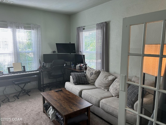 507 W Hill St, Neosho, MO 64850 - home office featuring carpet floors and a textured wall