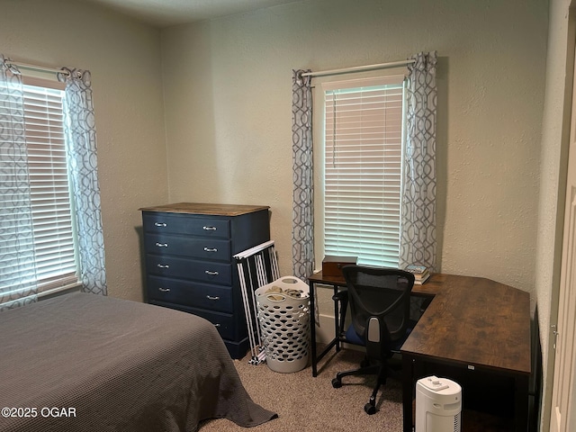 507 W Hill St, Neosho, MO 64850 - carpeted bedroom featuring an office area