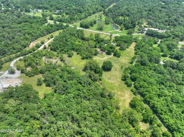 1822 Reinmiller Rd, Joplin, MO 64804 - photo 74