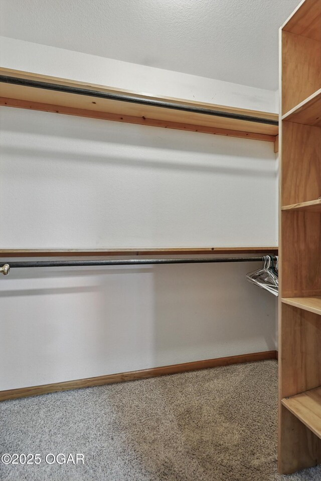 9404 County Lane 121, Carthage, MO 64836 - walk in closet featuring carpet