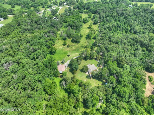 9404 County Lane 121, Carthage, MO 64836 - aerial view of property's location featuring a heavily wooded area