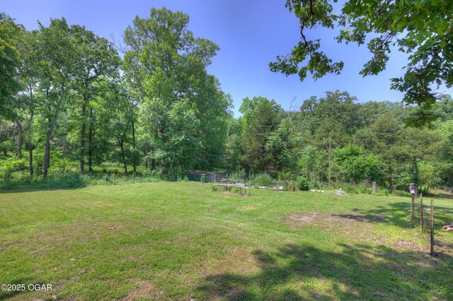 9404 County Lane 121, Carthage, MO 64836 - view of green lawn with a forest view
