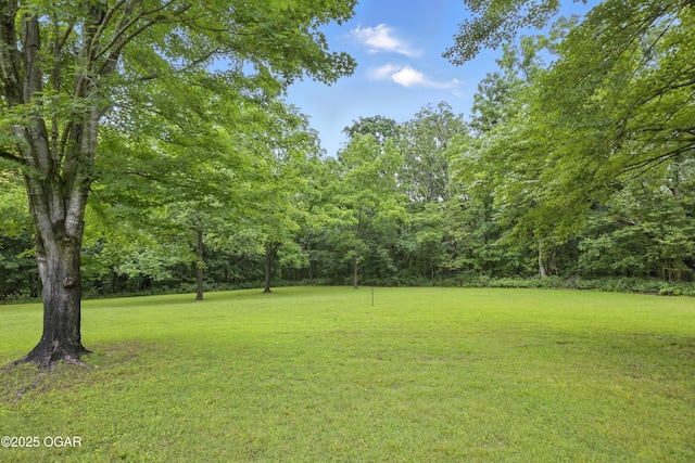 5694 Spurgeon Rd, Joplin, MO 64804 - view of green lawn