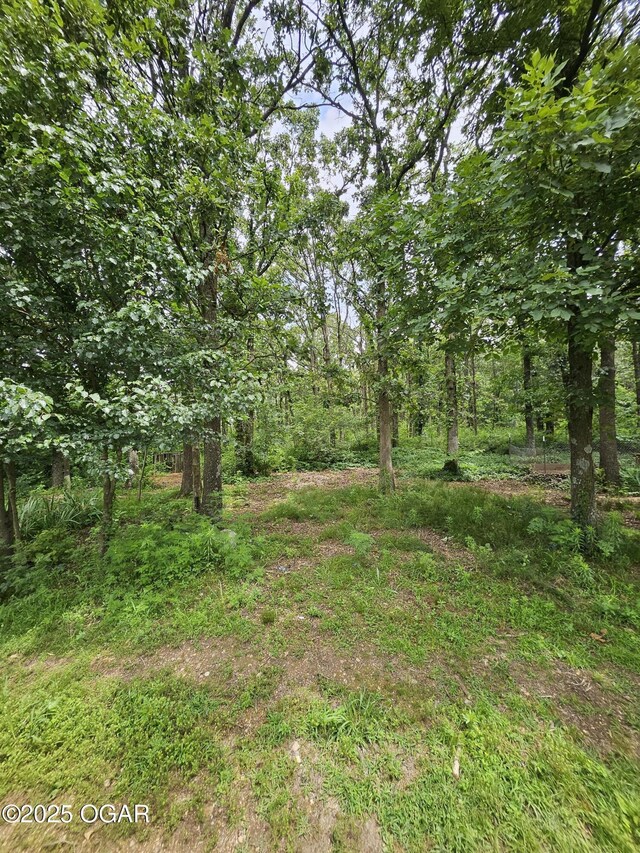 5358 Lawrence Unit 2220, Pierce City, MO 65723 - view of tree filled area