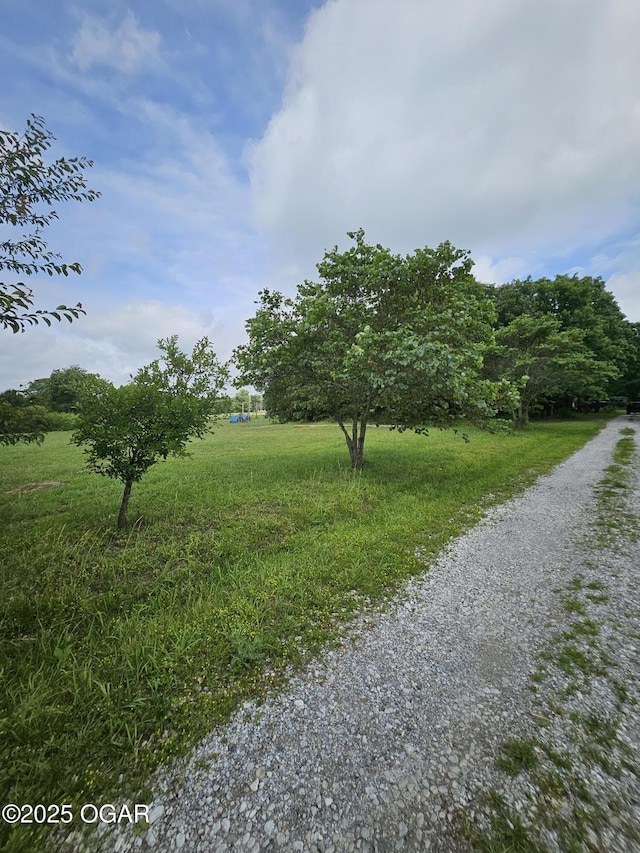 5358 Lawrence Unit 2220, Pierce City, MO 65723 - view of dirt / gravel road