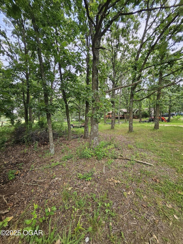 5358 Lawrence Unit 2220, Pierce City, MO 65723 - view of yard