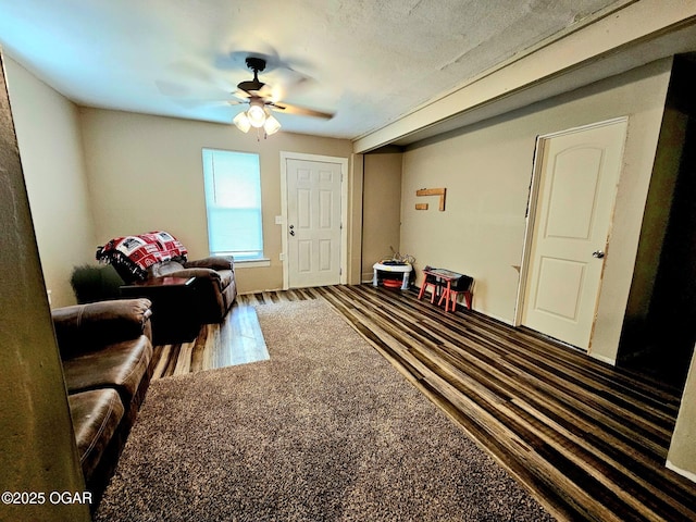 1109 Lincoln Ave, Baxter Springs, KS 66713 - living room featuring a ceiling fan and wood finished floors
