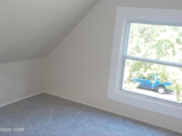 1802 Murphy Ave, Joplin, MO 64804 - photo 43