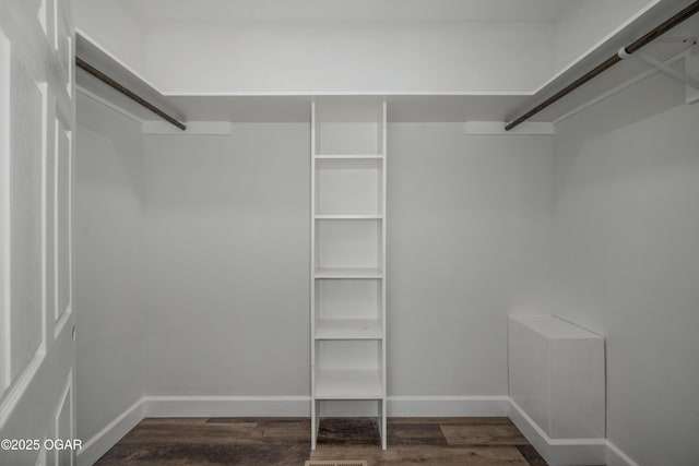 4610 W Amber Rd, Joplin, MO 64804 - walk in closet with dark wood-style flooring