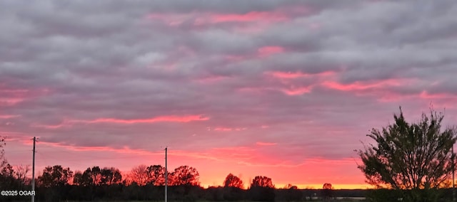12673 Ibex Rd, Neosho, MO 64850 - view of nature at dusk