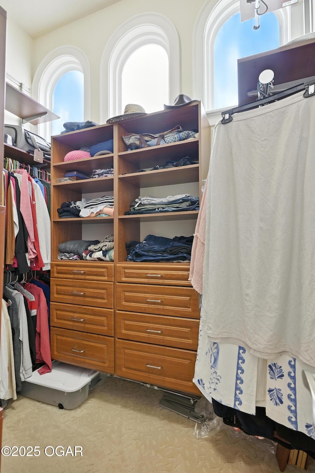 1641 Alexandra Dr, Carthage, MO 64836 - walk in closet with carpet flooring