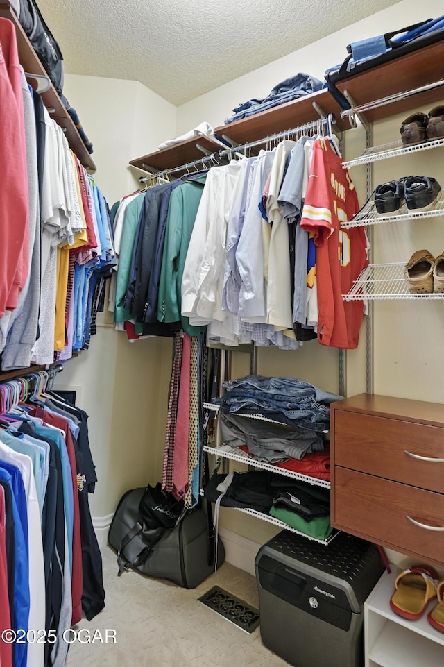 1641 Alexandra Dr, Carthage, MO 64836 - spacious closet with carpet floors