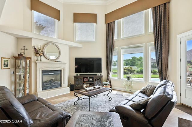1641 Alexandra Dr, Carthage, MO 64836 - living area with a high ceiling, a glass covered fireplace, wood finished floors, plenty of natural light, and crown molding