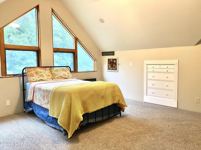 5541 State Highway 43, Southwest City, MO 64863 - photo 34