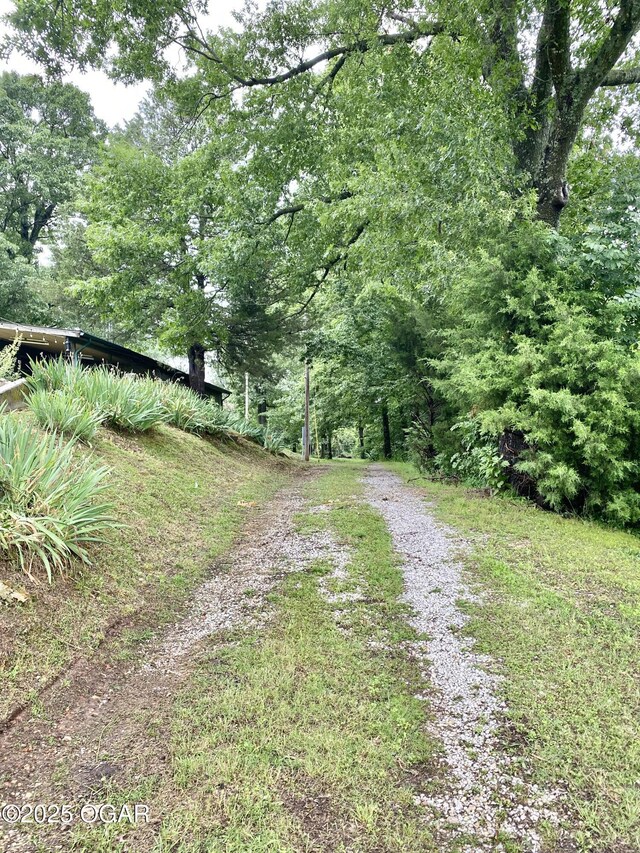 5541 State Highway 43, Southwest City, MO 64863 - photo 88