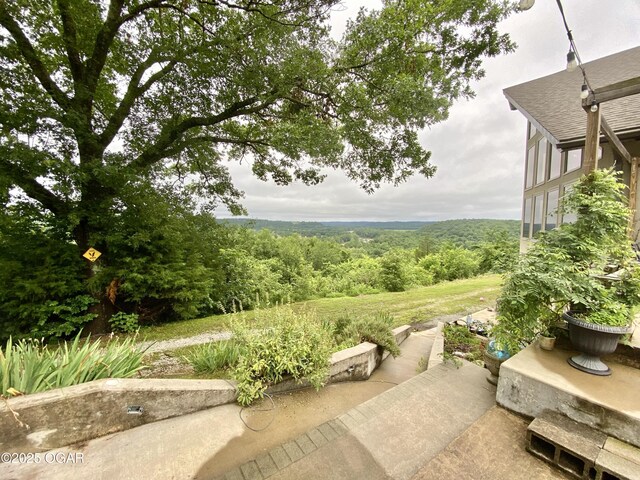5541 State Highway 43, Southwest City, MO 64863 - photo 92