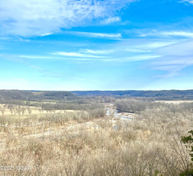 5541 State Highway 43, Southwest City, MO 64863 - photo 101
