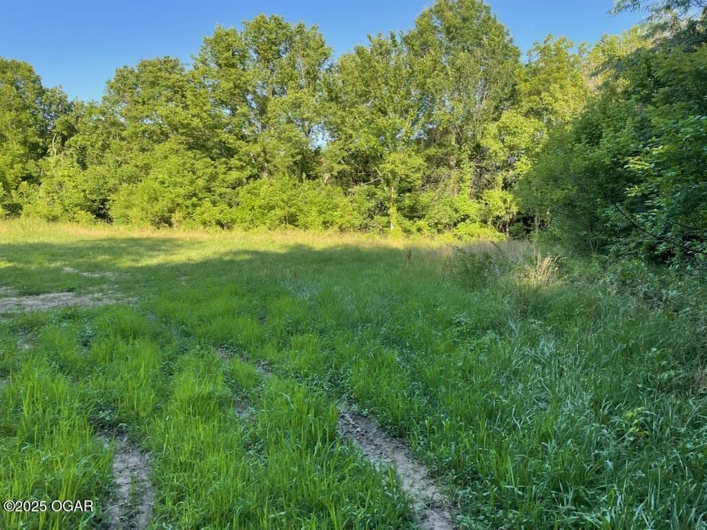 TRACT1 S 3rd St, Sarcoxie, MO 64862
