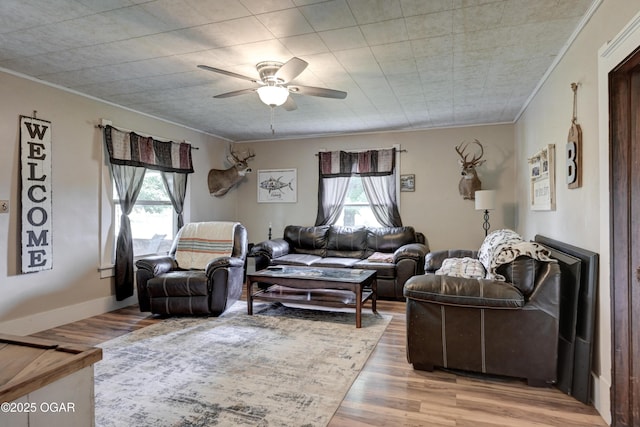 7614 Apple, Sarcoxie, MO 64862 - living area featuring healthy amount of natural light, crown molding, ceiling fan, and light wood-type flooring