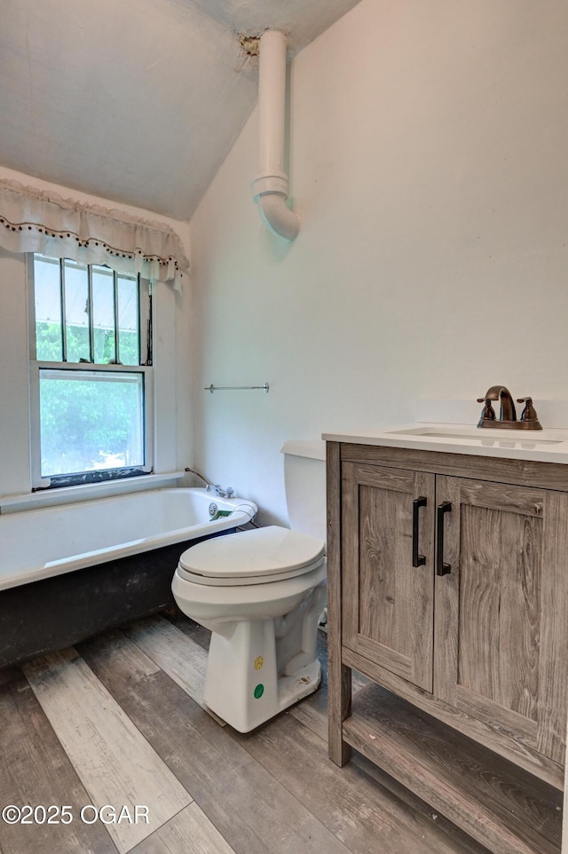 7614 Apple, Sarcoxie, MO 64862 - bathroom featuring a freestanding tub, wood finished floors, vanity, and lofted ceiling