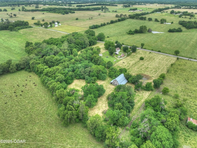 7614 Apple, Sarcoxie, MO 64862 - aerial view of property's location with rural landscape and abundant farmland
