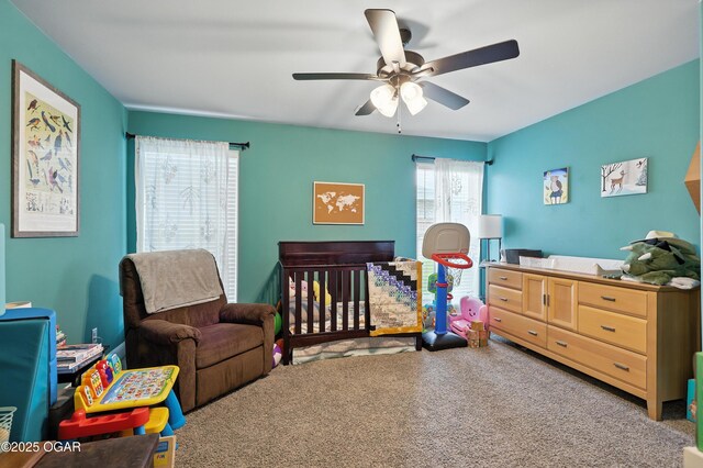 2210 Mia Faith Pl, Joplin, MO 64804 - photo 33