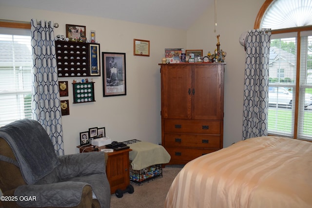 1902 E Natalie Ln, Joplin, MO 64801 - bedroom with multiple windows, carpet, and lofted ceiling