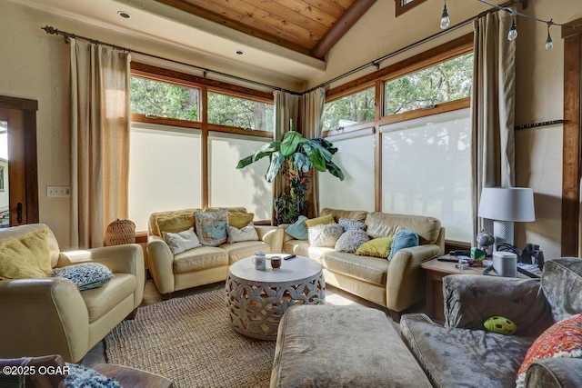 10640 Durango Ln, Carthage, MO 64836 - living area with vaulted ceiling and wood ceiling