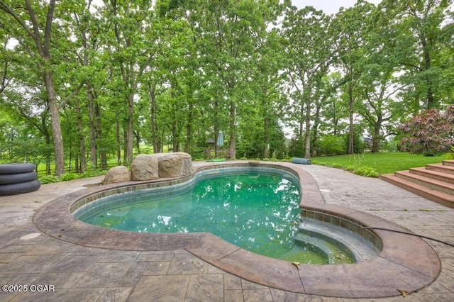 10640 Durango Ln, Carthage, MO 64836 - outdoor pool featuring a patio area and a lawn