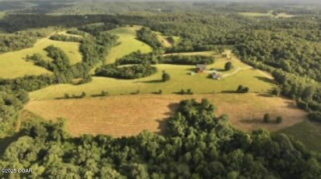 TBD Low Gap Rd, Noel, MO 64854 - photo 2