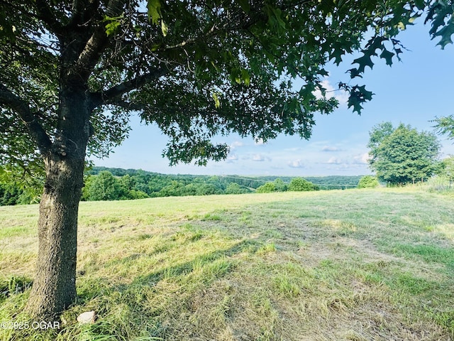 TBD Low Gap Rd, Noel, MO 64854 - photo 6