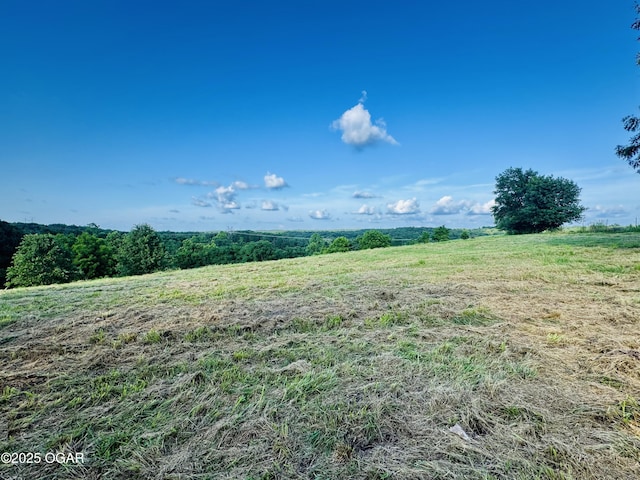 TBD Low Gap Rd, Noel, MO 64854 - photo 7