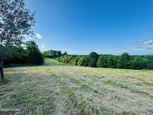 TBD Low Gap Rd, Noel, MO 64854 - photo 9