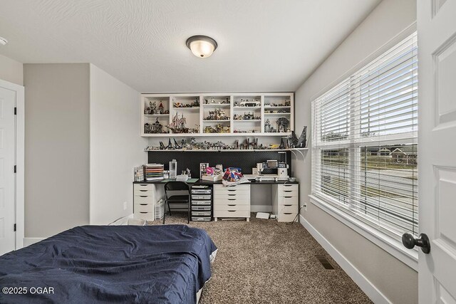 6092 S Iris Ln, Battlefield, MO 65619 - photo 25