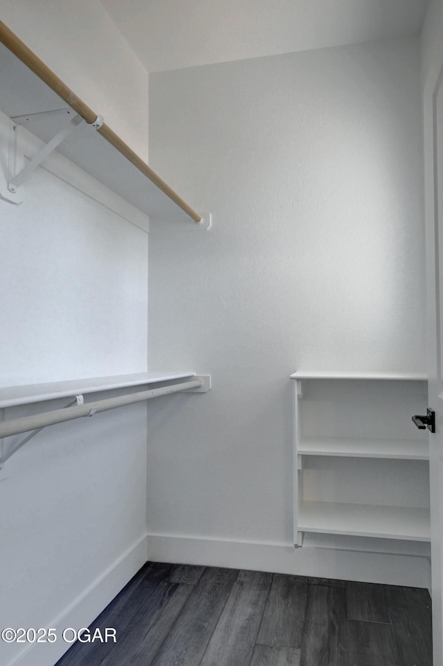 4313 W 28th Pl, Joplin, MO 64804 - walk in closet with dark wood-type flooring