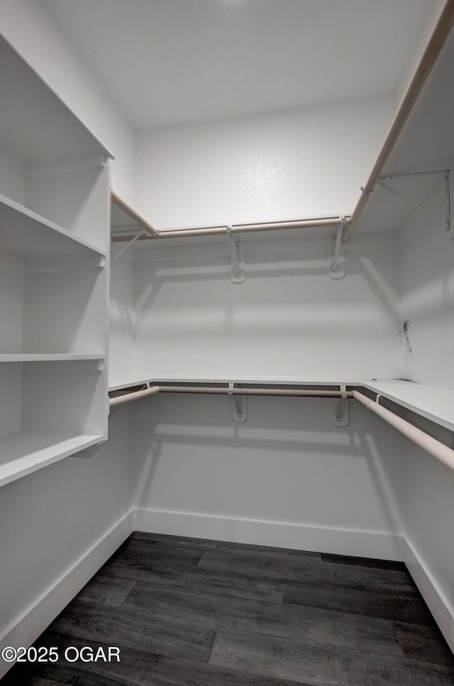 4313 W 28th Pl, Joplin, MO 64804 - walk in closet featuring dark wood-style flooring