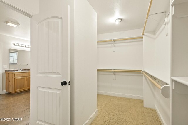 305 Dogwood Trails Loop, Carl Junction, MO 64834 - spacious closet featuring a sink
