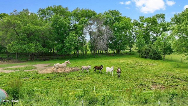 21974 S 1825th Rd, Milo, MO 64767 - view of yard featuring a view of rural / pastoral area