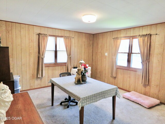 722 E Budlong St, Carthage, MO 64836 - office area featuring plenty of natural light, carpet floors, and wood walls