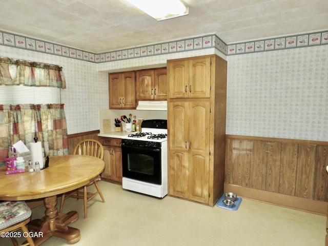 722 E Budlong St, Carthage, MO 64836 - kitchen featuring gas stove, under cabinet range hood, wallpapered walls, a wainscoted wall, and wooden walls