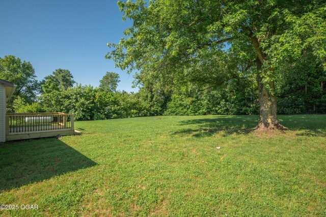 303 Water St, Exeter, MO 65647 - view of grassy yard