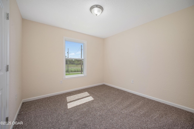 303 Water St, Exeter, MO 65647 - carpeted empty room featuring baseboards