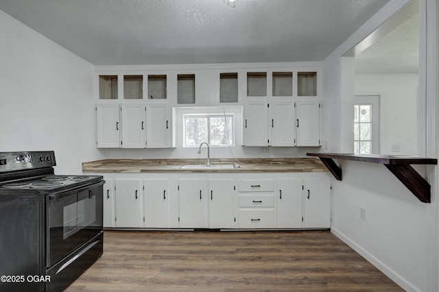 1015 W 21st St, Galena, KS 66739 - photo 12